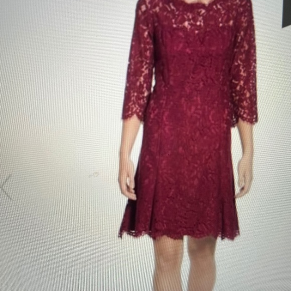 Eliza J Fit and Flare Lace Dress - Pretty Burgundy shade. - Picture 1 of 9